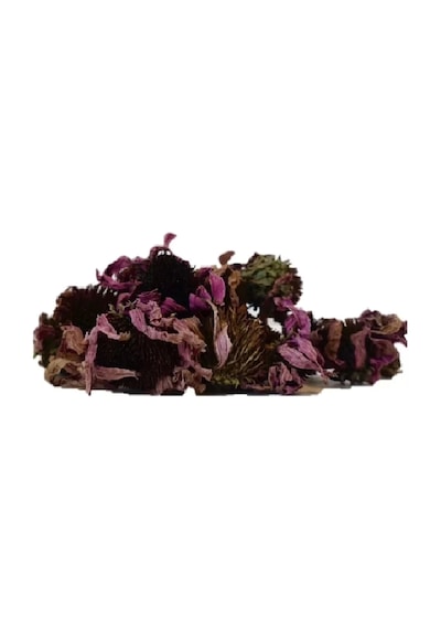 Derya Eren Ekinezya Çiçeği Echinacea Angustifolia 100 G