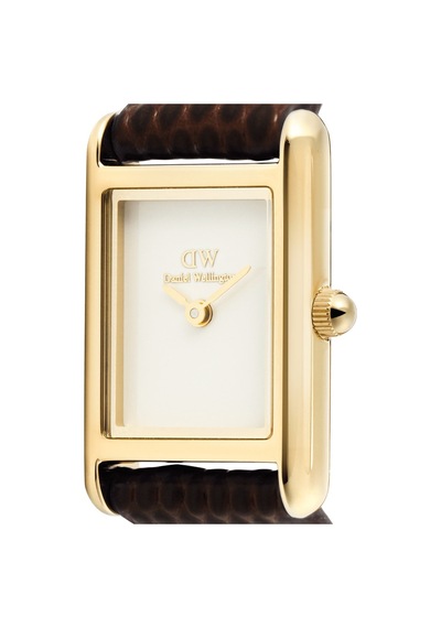 Daniel Wellington Dw00600904 Kadın Kol Saati Diğer
