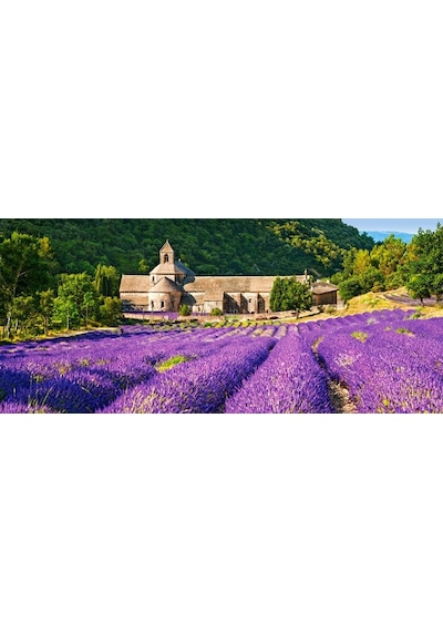 Castorland 600 Parça Puzzle Notre Dame De Senanque France