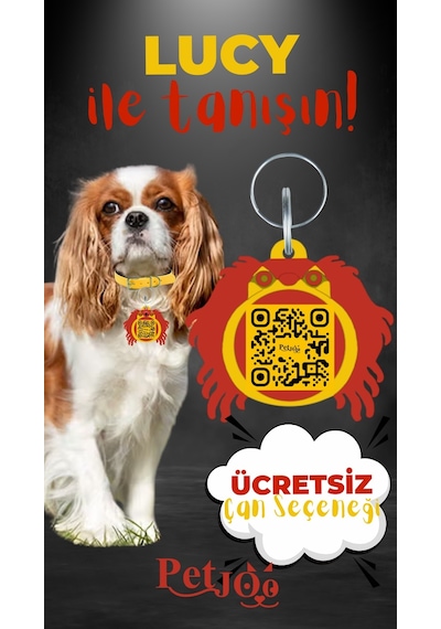 Petjoo 11.Lucy Kırmızı-Sarı Qr'lı Köpek Künyesi