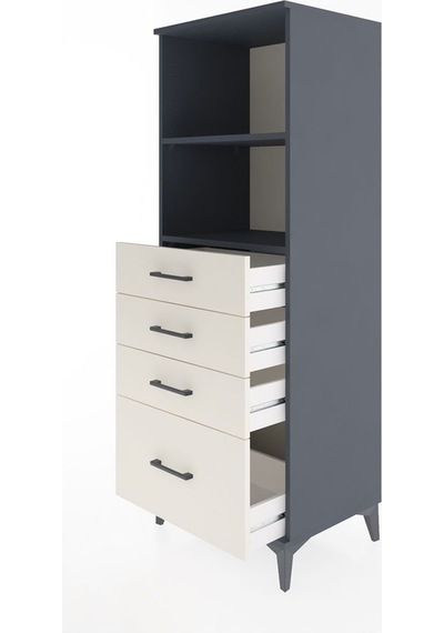 Hyperion Dolap 2 Raflı 4 Çekmeceli 60x44x163 Antrasit-aytaşı Antrasit