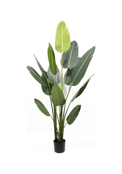 Yapay Ağaç Muz Ağacı Salon Bitkisi 200Cm 21Yaprak