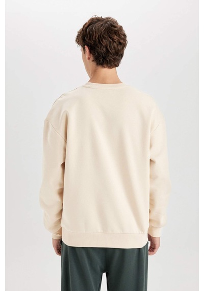DeFacto Boxy Fit Bisiklet Yaka Baskılı Sweatshirt X8282AZ24AUBG700 Bej