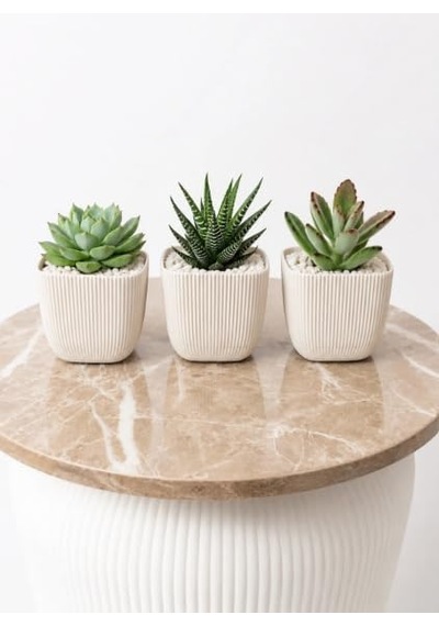 Modern Krem Kare Saksı Seti, 3'lü, 8,2x8,2x7,1 Cm, Sukulent Ve Kaktüs Bitkilerine Uygun Diğer