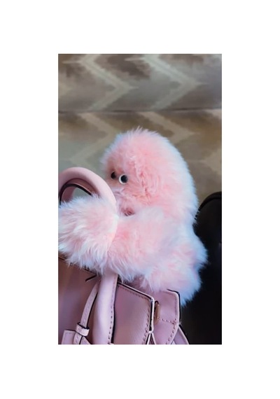 Mirumi Pembe Şarjlı Orjinal Ürün - Akıllı Peluş Robot Çanta Charmı