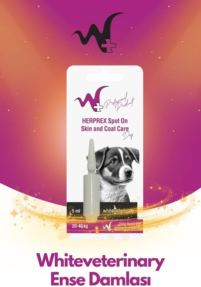 Whiteveterinay Köpek Damlası Bit Ve Pire 20-40kg 1ml