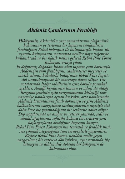 Rebul Pıne Forest Kolonya 125 Ml Spreyli Pet Şişe 3 Lü Set