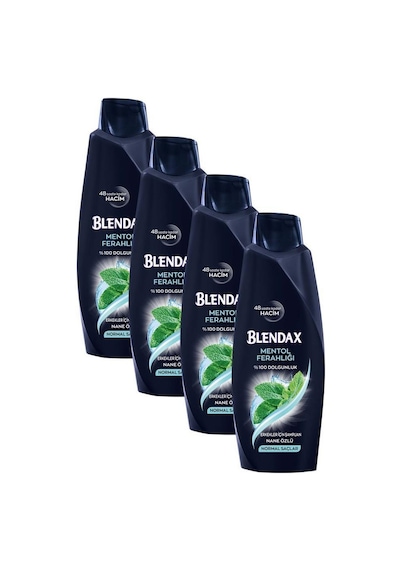 Blendax Erkekler için Mentollü Şampuan 4 x 500 ML