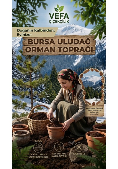 Bursa Uludağ Katkısız Orman Toprağı 3 Kg - Doğal & Elenmiş İç Ve Dış Mekan Bitki Toprağı