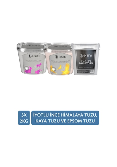 Efsina Epsom 1250 G + Himalaya ve Kaya Tuzu 2 x 2 KG