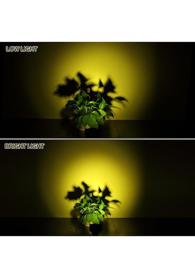 Forlife Gün Işığı18 Led Spot Güneş Enerjili Bahçe Aydınlatma Lambası, Fotoselli, Spike Aplik, 18w Su Geçirmez Dış Mekan Solar Lamba, Ağaç, Veranda, Havuz, Duvar Ve Zemin Montajına Uygundur 42 Cm Diğer Forlife Gün Işığı18 Led Spot Güneş Enerjili Bahçe Aydınlatma Lambası, Fotoselli, Spike Aplik, 18w Su Geçirmez Dış Mekan Solar Lamba, Ağaç, Veranda, Havuz, Duvar Ve Zemin Montajına Uygundur 42 Cm Diğer