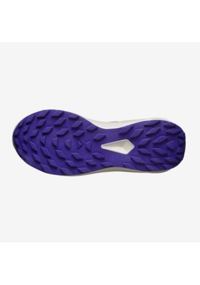 Salomon Alphaglıde W Kadın Patika Koşusu Ayakkabısı L47801800 L47801800 Ant Antrasit