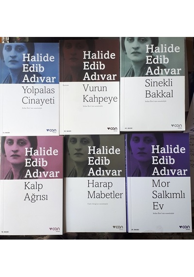 Halide Edip Adıvar 6 Kitaplı Set