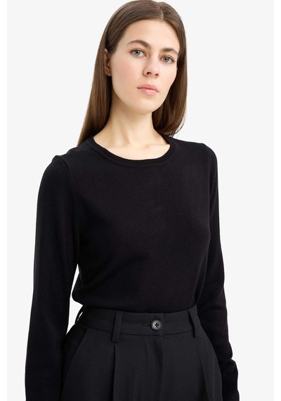Defacto Regular Fit Bisiklet Yaka Triko Kazak F7091AZ20AU