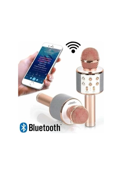 Northcity Karaoke Mikrofon Dahili Hoparlör Bluetooth Usb Aux Sd Kart Girişli