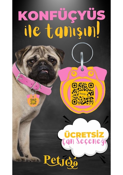 Petjoo 9.Konfüçyüs Sarı-Pembe Qr'lı Köpek Künyesi