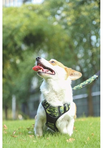 M-pets Hiking Reflektörlü Köpek Göğüs Tasması Kamuflaj Medium 40-75 Cm 244-58021.02 Çok Renkli