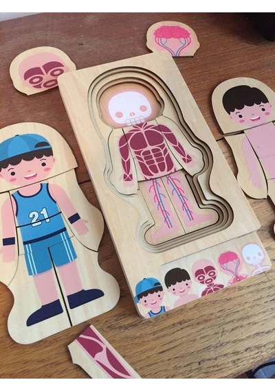 Montessori Waldorf Öğrenme Ahşap Erkek Insan Vücudu Anatomisi Puzzle