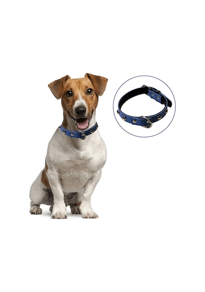 River World Yumuşak Dokulu Deri Köpek Gezdirme Boyun Tasması (Large)