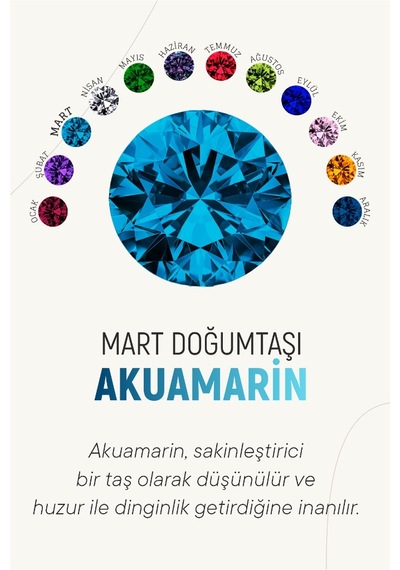 Mart Akuamarin Doğum Taşı Rose Tektaş Çivili Gümüş Küpe