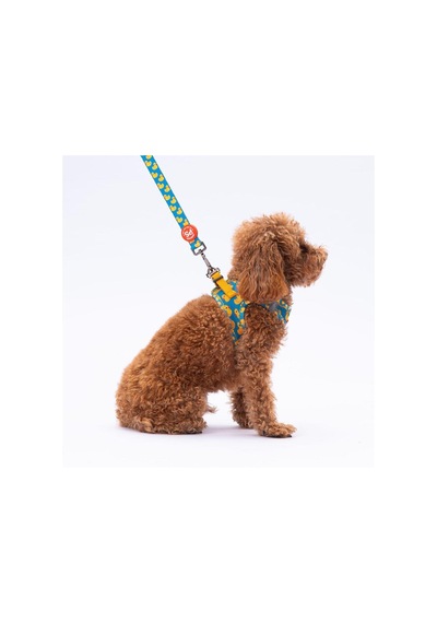 Pawstar L28 Ducks Sevk Kayışı Çok Renkli