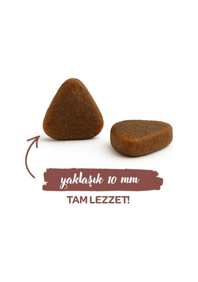 Sanabelle Indoor Gine Tavuğu Ve Yaban Mersinli Yetişkin Kuru Kedi Maması 8 Kg