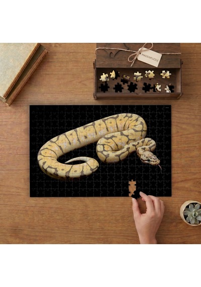 Desenli Kraliyet Pitonu Tasarımı 240 Parça Ahşap Puzzle Ahşap Kutuda Mpy60205