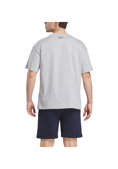 Reebok Lawn Club T-shırt Gri Erkek Kısa Kol T-shirt 000000000102204105