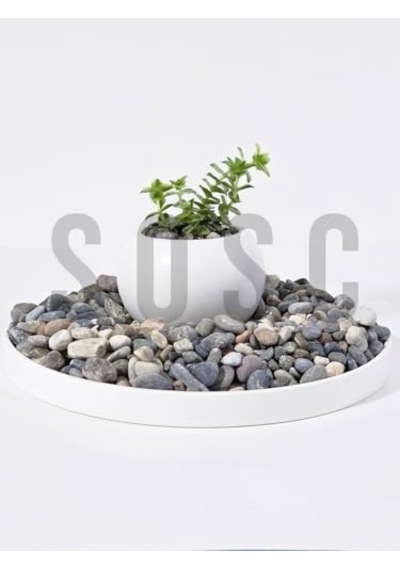 Sosc Doğal Nazilli Dere Çakıl Taşı, Tamburlanmış Dekoratif Taş, 1-2 Cm, 3 Kg, Saksı Dibi, Akvaryum Ve Bahçe Düzenleme İçin