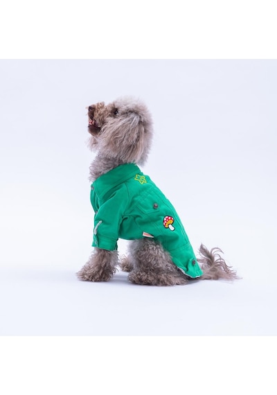 Yeşil Cancun - Cancún Ceket Gabardin Çıtçıtlı Kedi Köpek Ceketi Kedi Köpek Kıyafeti Kedi Köpek Elbisesi