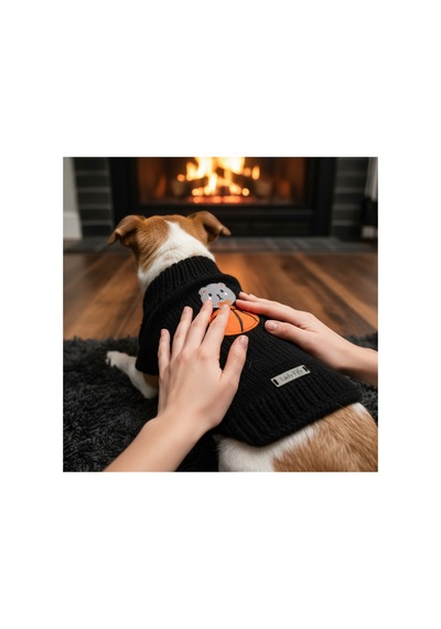 Kedi Ve Köpek İçin Pivot Bear Siyah Kazak