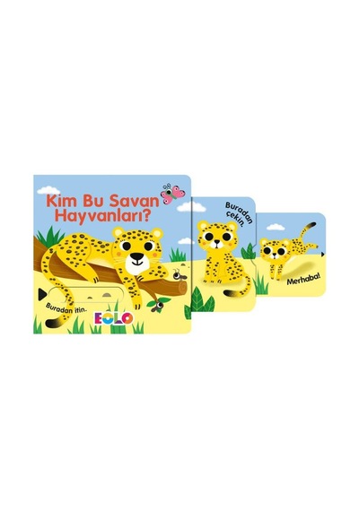 Eolo Kim Bu Savan Hayvanları