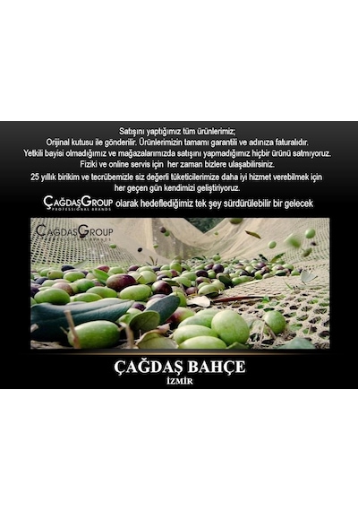 Zanon Karbonium Evo Zeytin Hasat Zeytin Silkme Makinesi 33W