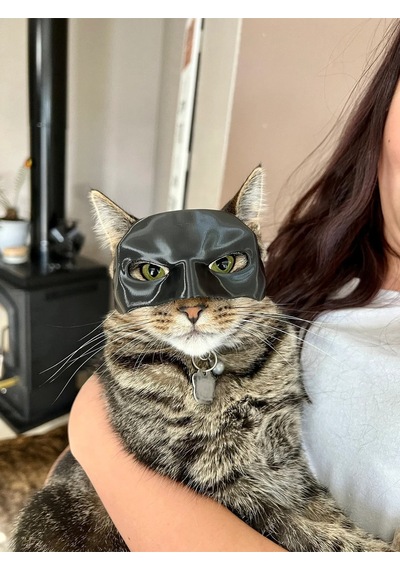 Siyah Batman Tarzı Takılabilir Kedi Maskesi