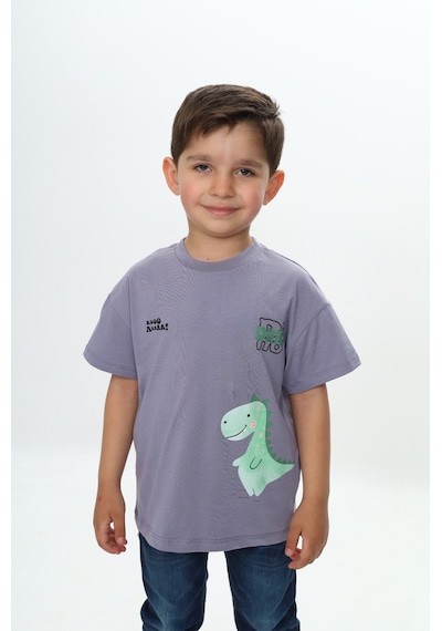 Toontoy Kids Toontoy Erkek Çocuk Dinazor Yazı Baskılı Tişört Gri