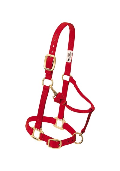 Weaver Leather Atlar İçin Yular, Naylon, Ayarlanabilir, 2,5 Cm, Beden L, Kırmızı Çok Renkli
