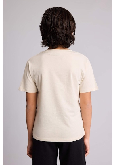 Defacto Baskılı Tişört Erkek Çocuk G7469A826SM