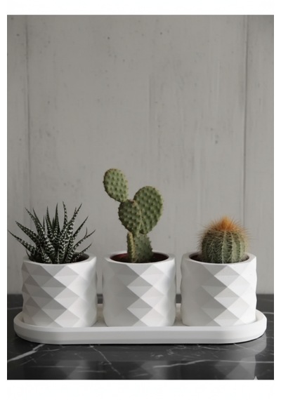 3 Lü Dekoratif Saksı Seti Ve Altlık 6x7cm Saksılar + 23x11 Cm Tabak 4 Parça