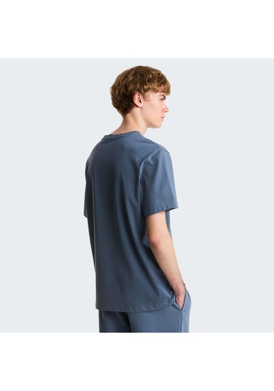 The North Face M Essentıal Center Logo Relaxed Short Sl Erkek Tişört Nf0a8gqe0u31 Gri