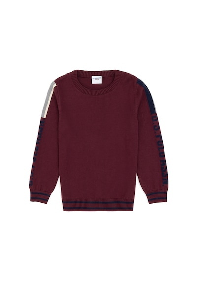 U.s. Polo Assn. Erkek Çocuk Plum Kazak /triko 50317136-vr177 New Plum