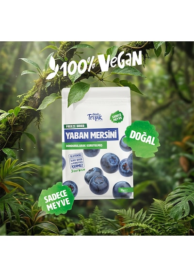 Dondurularak Kurutulmuş Yaban Mersini 18 G Freeze Dried Meyve Cipsi Çıtır Meyve Kurusu 3 Adet