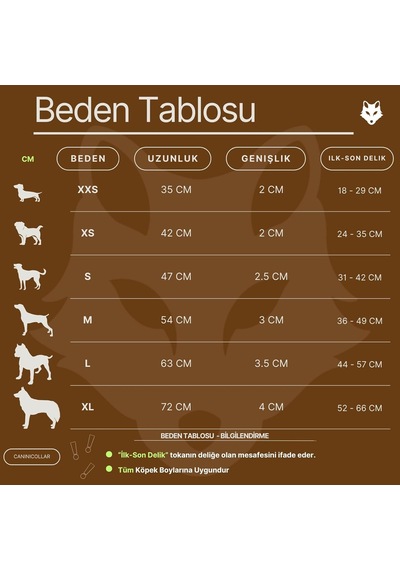 %100 Hakiki Deri - Antik Tokalı Köpek Tasması Yumuşak İç Katman, Dayanıklı Ve Şık Tasarım - Gerçek Derid Çok Renkli
