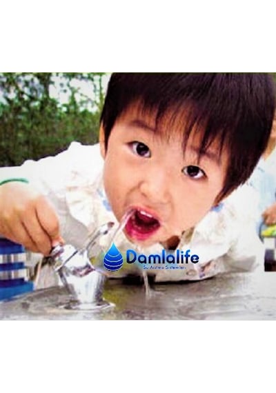 Damlalife Fışkırtmalı Musluk Basmalı Su Çeşme