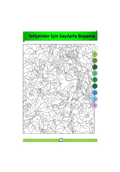 Yetişkinler İçin Sayılarla BOYAMA Kitabı