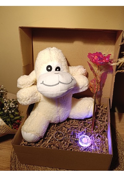 Kutulu Hediye Seti / Peluş Kuzu 24cm - Renk Değiştiren Işıklı Anahtarlık - Sonsuzluk Gülü