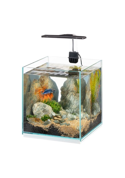 Ferplast Tonga 20 Ledli Akvaryum 22x22x36cm