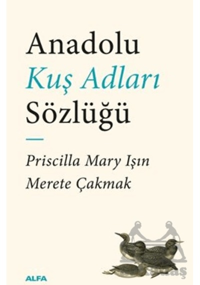 Anadolu Kuş Adları Sözlüğü Alfa Yayınları Priscilla Mary Işın