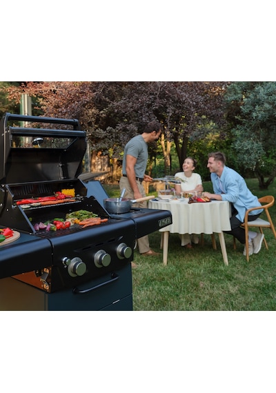 Aygaz X350 Klasik Lpg'li Barbekü - Pratik Kullanım, Geniş Izgara Alanı, Gri Mavi Gri