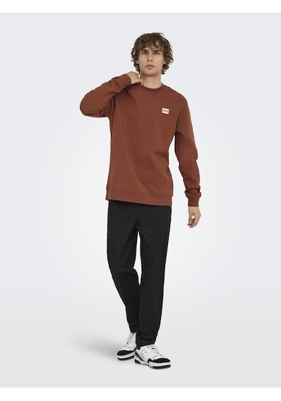 Only & Sons Onsdawson Reg Crew Vd Çok Renkli