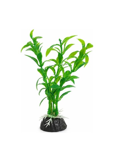 Zeytin Dalı Zeytin Dalı Diğer